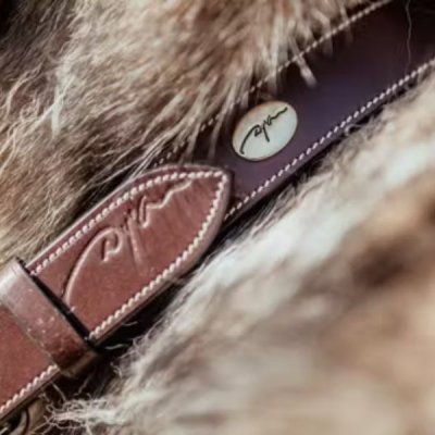 Dy'on Flat Leather Dog Collar - Image 2