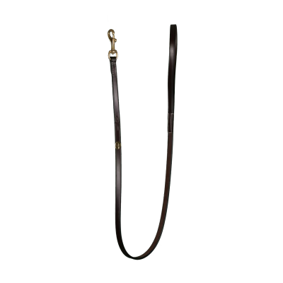 Dy'on Classic Dog Leash