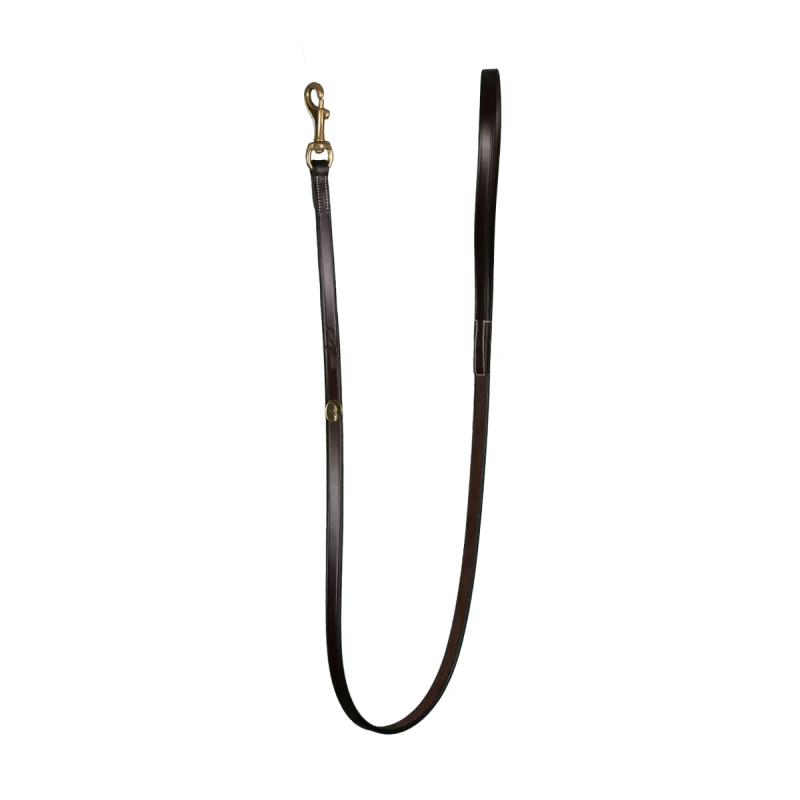 Dy'on Classic Dog Leash