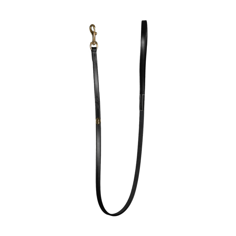 Dy'on Classic Dog Leash - Image 2