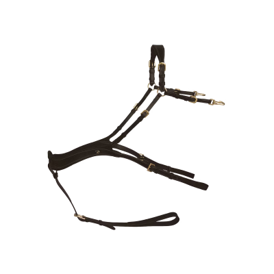 Dy'on D Collection Anatomical Breastplate