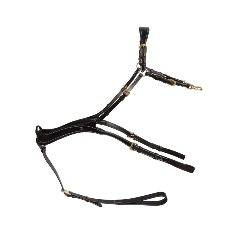 Dy'on D Collection Anatomical Breastplate - Image 2
