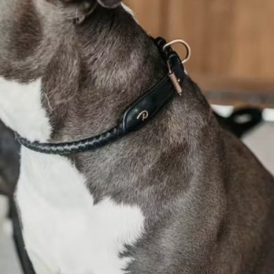 Dy'on Braided Dog Collar - Image 5