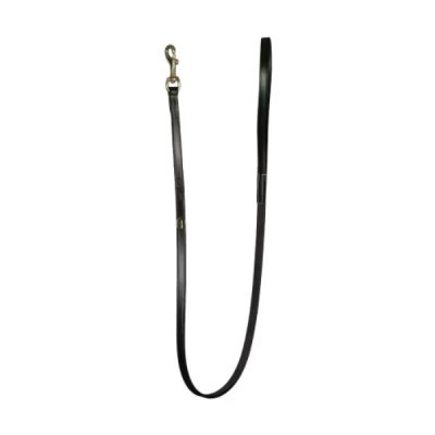 Dy'on Classic Dog Leash - Image 3