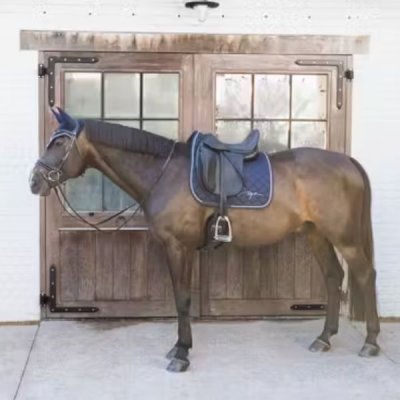 Dy'on Diamond Saddle Pad Dressage - Image 4