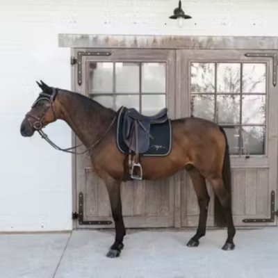 Dy'on Diamond Saddle Pad Dressage - Image 7