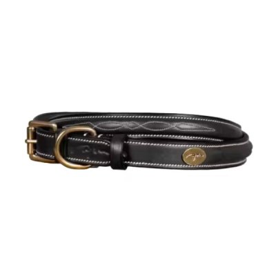 Dy'on Fancy Dog Collar