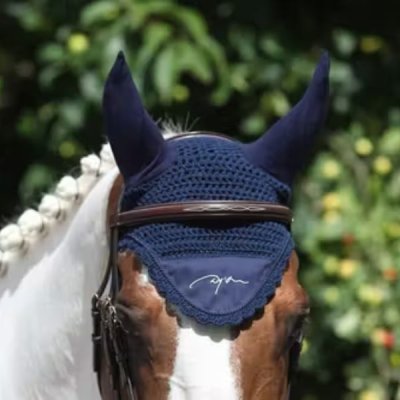 Dy'on Fly Veil