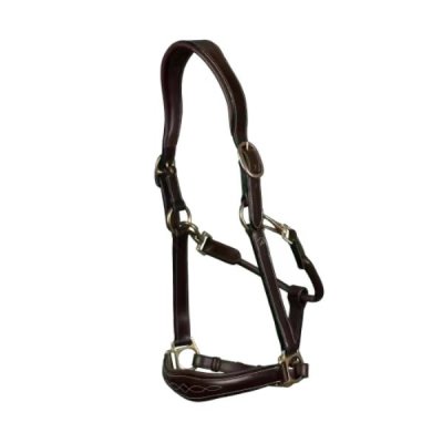 Dy'on Leather Halter - Image 3