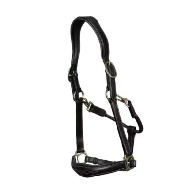 Dy'on Leather Halter - Image 4