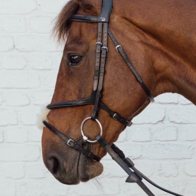 Dy'on New English Collection Plaited Fig 8 Noseband - Image 3