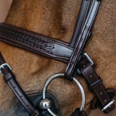 Dy'on New English Collection Plaited Medium Noseband with Pull-back - Image 3