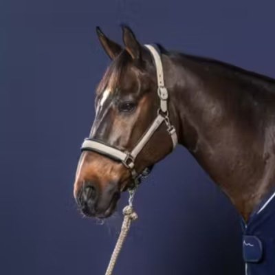 Dy'on Nubuck Halter