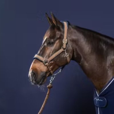Dy'on Nubuck Halter - Image 3