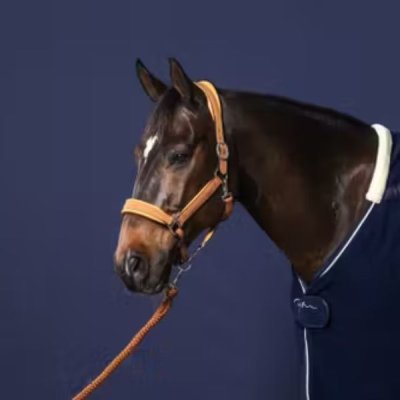 Dy'on Nubuck Halter - Image 5