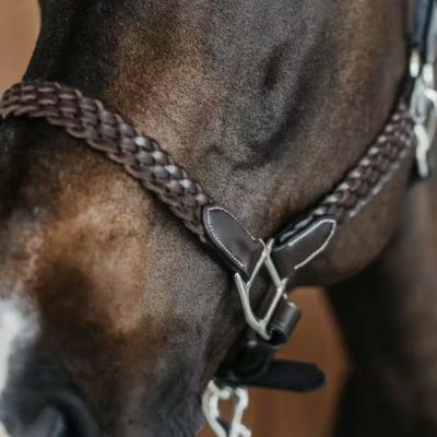 Dy'on Plaited Halter - Image 2