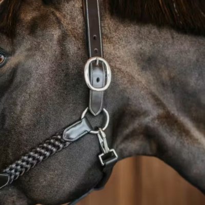 Dy'on Plaited Halter - Image 3