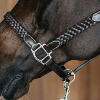 Dy'on Plaited Halter - Image 4