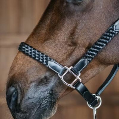 Dy'on Plaited Halter - Image 7