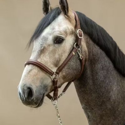 Dy'on Soft Leather Halter