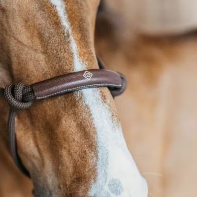 Dy'on Training Halter