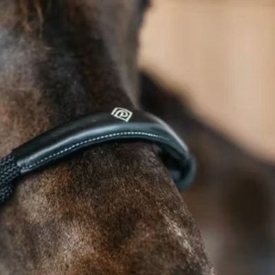 Dy'on Training Halter - Image 3