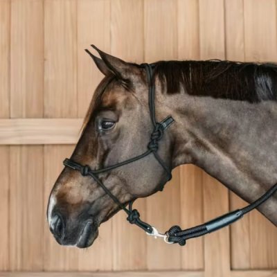 Dy'on Training Halter - Image 4