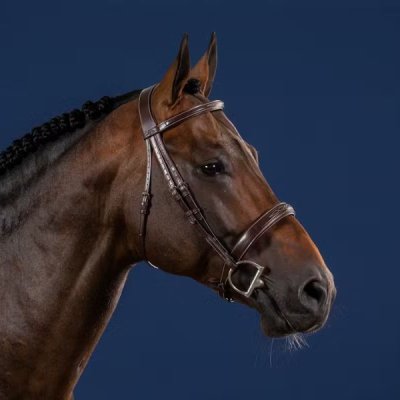 Dy'on US Hunter Collection Wide Noseband Hunter Bridle - Image 3