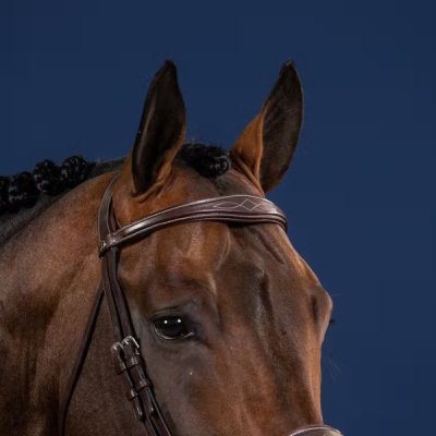 Dy'on US Jumping Collection Anatomic Browband
