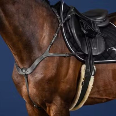 Dy'on US Jumping Collection Anatomical Breastplate - Image 3