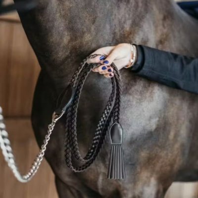 Dy'on Working Collection Plaited Lead with Chain - Image 5