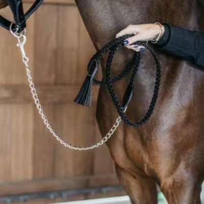Dy'on Working Collection Plaited Lead with Chain - Image 2