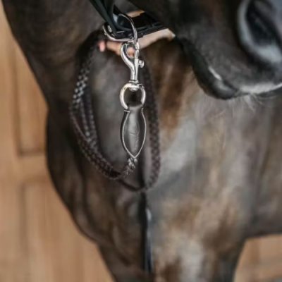 Dy'on Working Collection Plaited Lead - Image 3