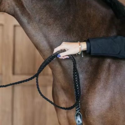 Dy'on Working Collection Plaited Lead - Image 5