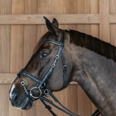 Dy'on Working Collection Working Motion Bridle - Image 2