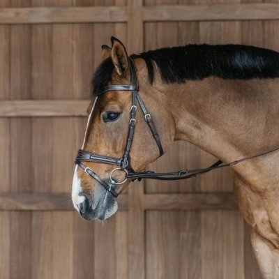 Dy'on Working Collection Working Motion Bridle - Image 3