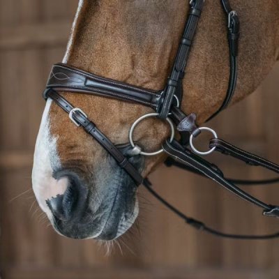 Dy'on Working Collection Working Motion Bridle - Image 4