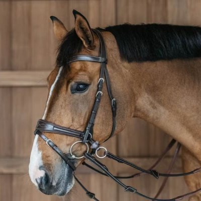 Dy'on Working Collection Working Motion Bridle - Image 5