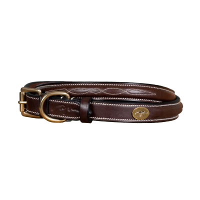 Dy'on Fancy Dog Collar