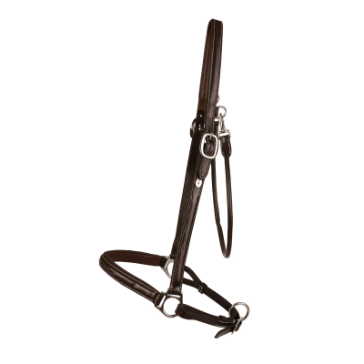 Dy'on Working Collection Grooming Halter