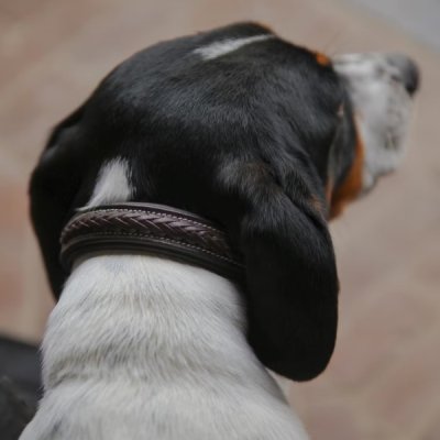 Plaited dog collar - Image 3