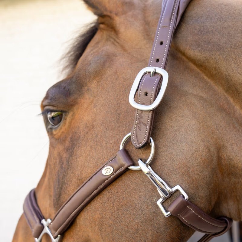 Dy'on Working Collection Soft Leather Halter - Image 3