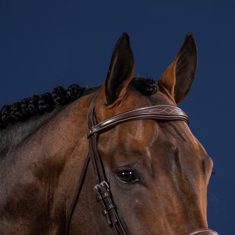 Dy'on US Collection Anatomic Browband - Image 3