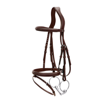 Dy'on US Collection Flash Noseband Bridle