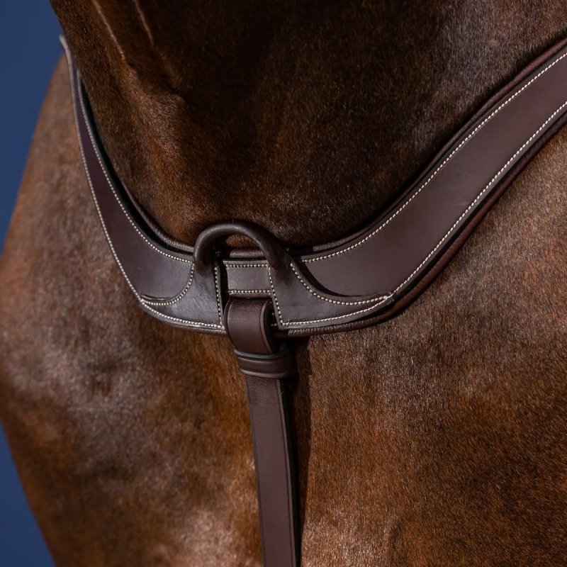 Dy'on US Collection Anatomical Breastplate - Image 2