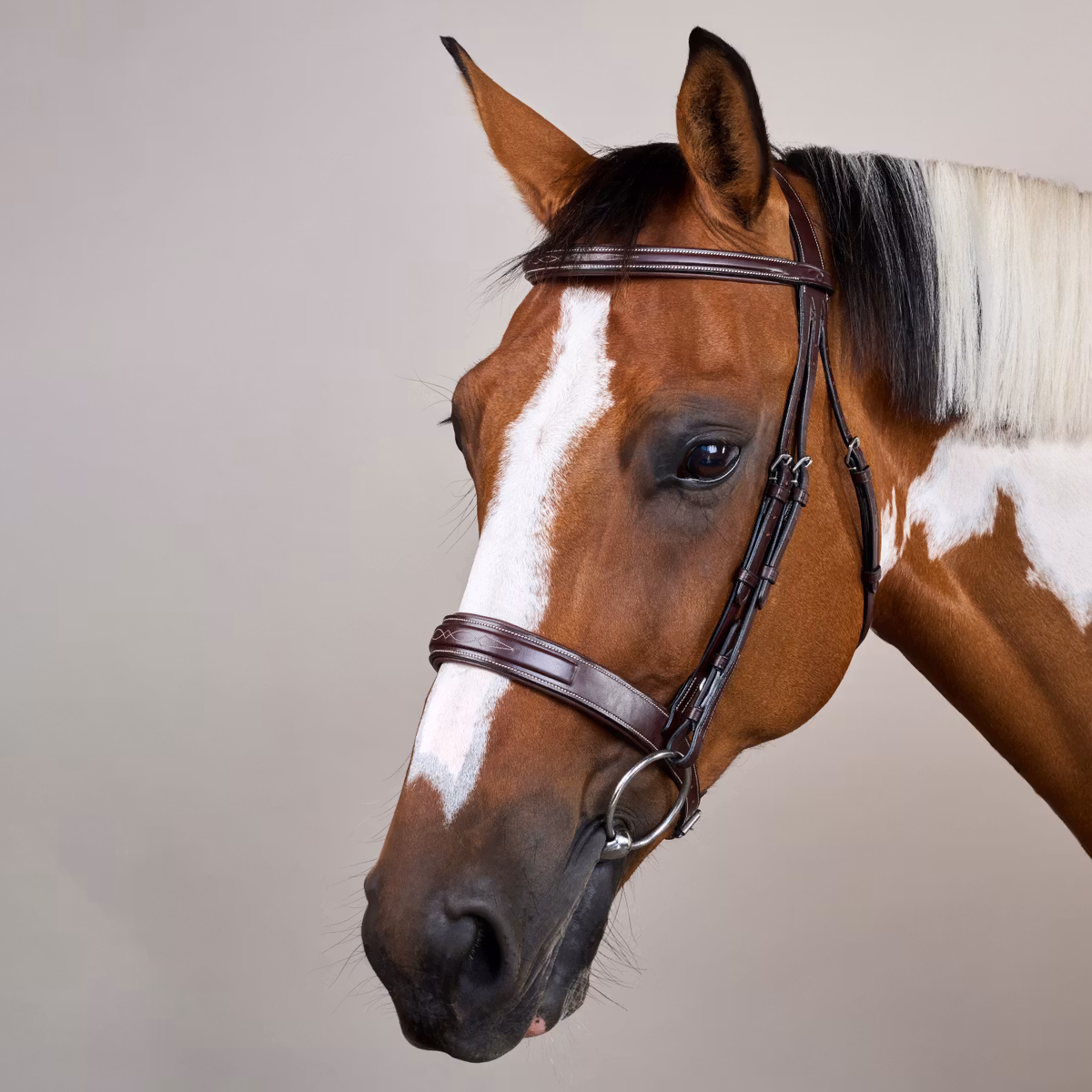 Dy'on US Collection Wide Noseband Hunter Bridle