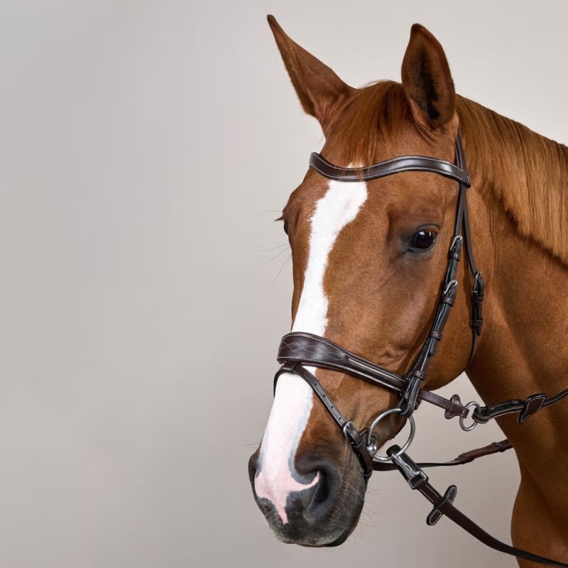 Dy'on Working Collection Working Motion Bridle - Image 5