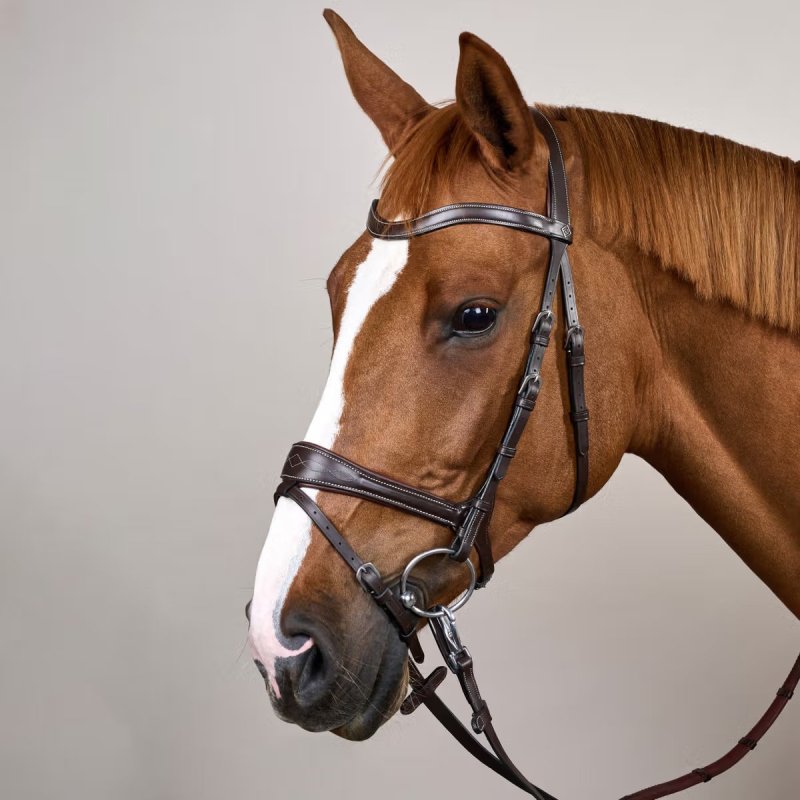 Dy'on Working Collection Working Motion Bridle - Image 6