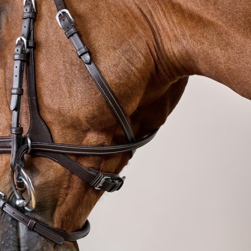 Dy'on Working Collection Working Motion Bridle - Image 7
