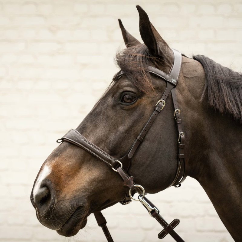 Dy'on Working Collection Working Motion Bridle - Image 9